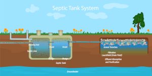 The Care and Keeping of Drain Fields