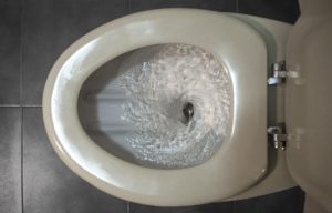 How to Avoid a Dreaded Toilet Backup